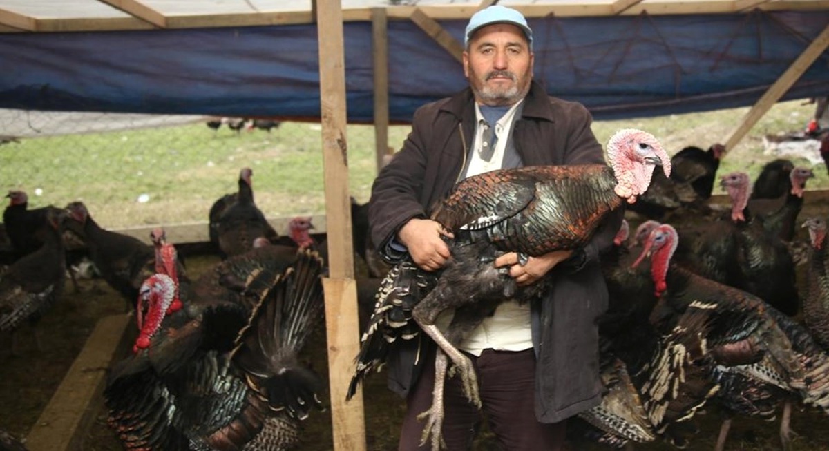 Hindi Satıcılarının Yüzü Güldü