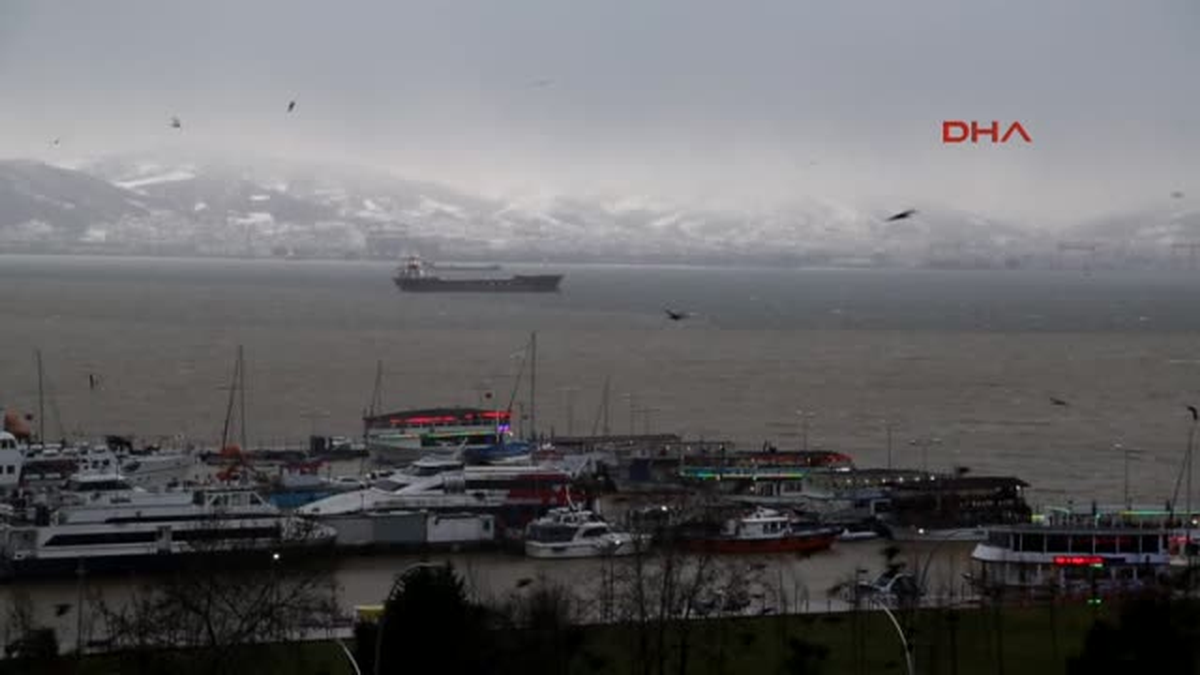 Izmit\'te Ev ve Işyerlerini Su Bastı