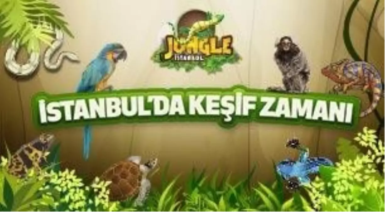 Jungle İstanbul