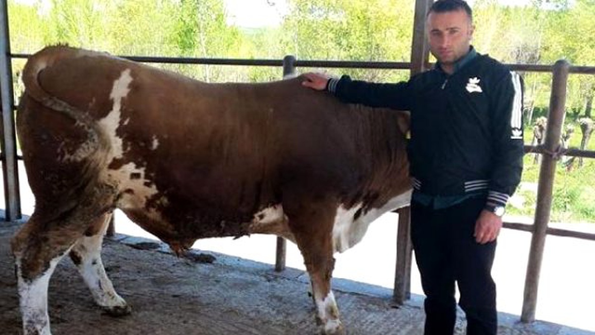Kıyık Köyündeki Cinayetin Zanlısı Tutuklandı