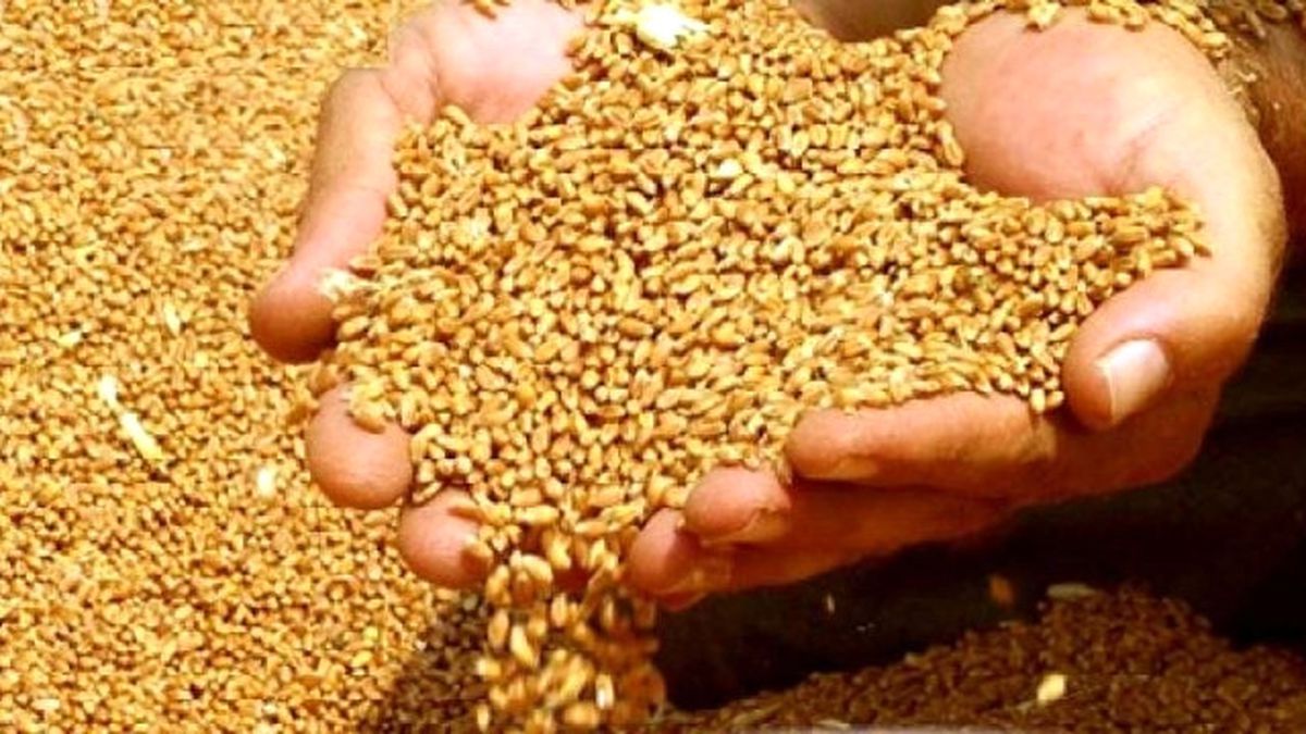 Kızıltepe Ticaret Borsası