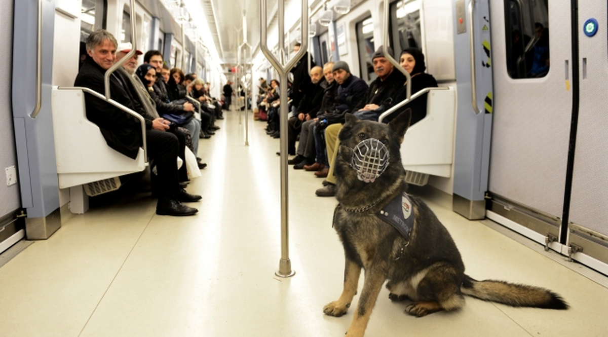 Metronun Güvenliği "Endo" ve "Rio"Ya Emanet