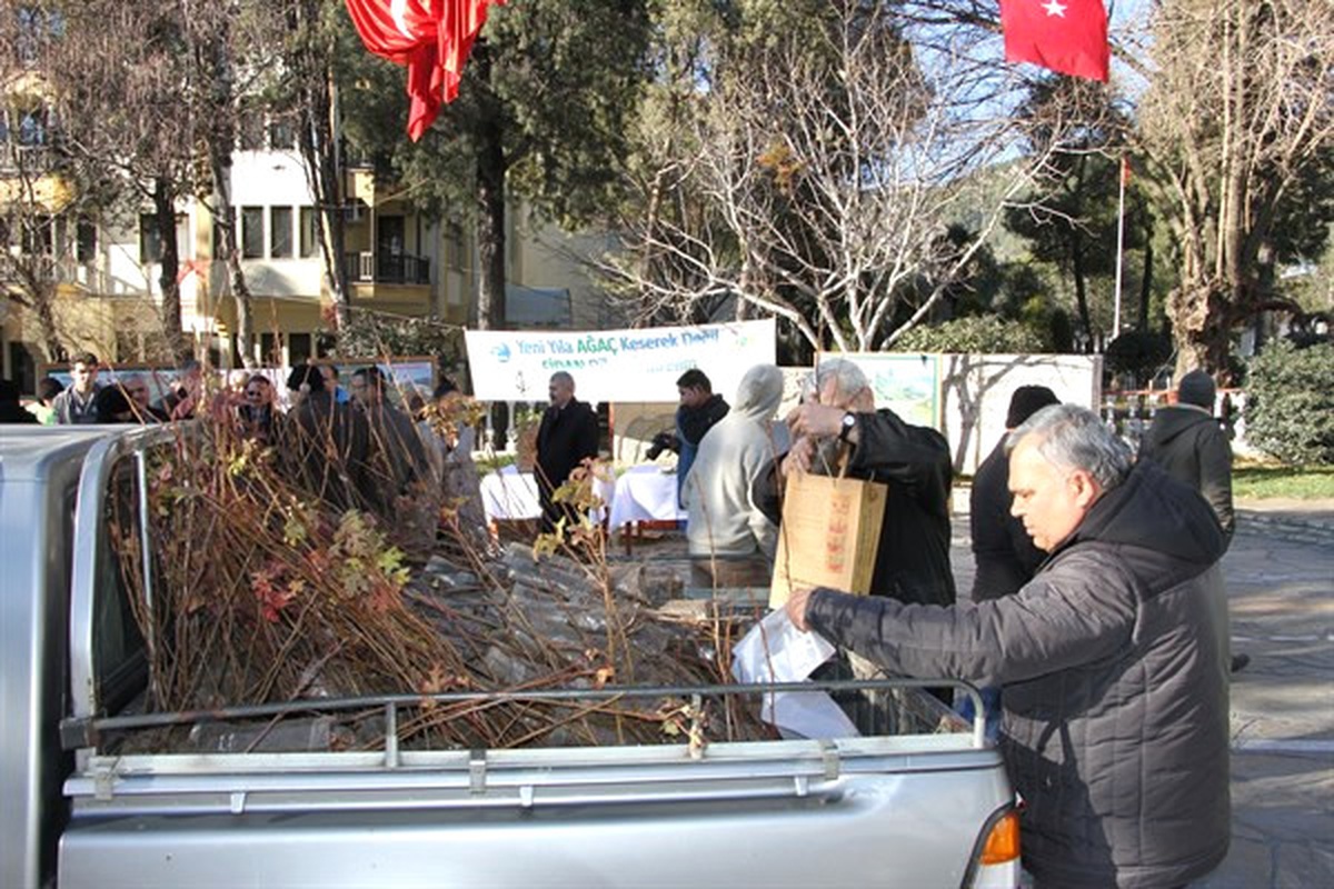Muğla\'da "Ağaç Kesme Fidan Dik" Kampanyası
