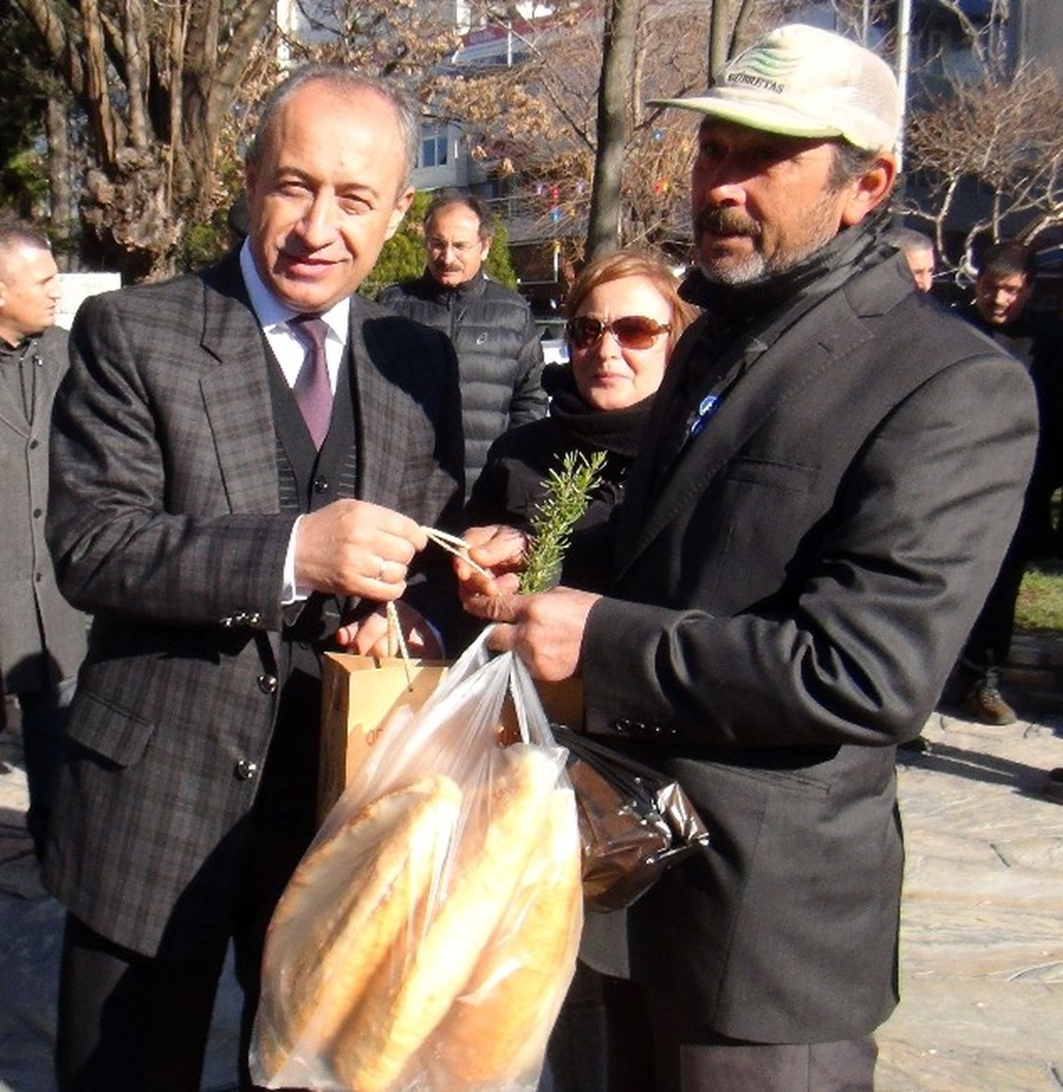 Ormandan \'Kesme, Dik\' Kampanyası