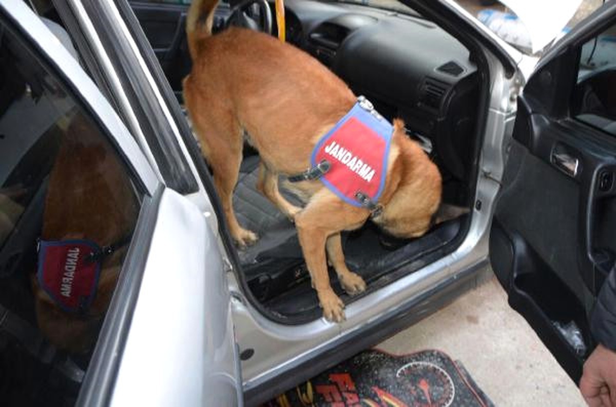 Polis Köpeği \'Evlat\' Otomobildeki Uyuşturucuyu Buldu