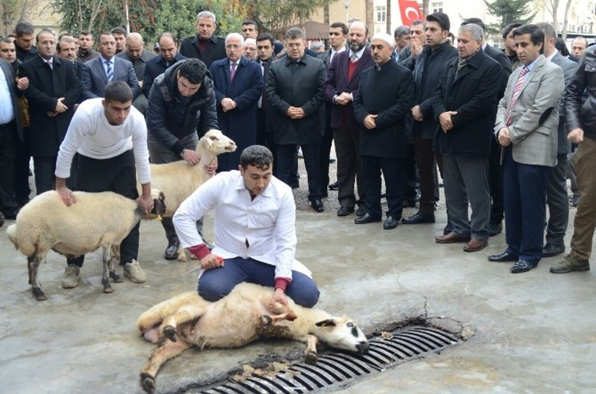 Şanlıurfa\'da Şehit Polisler İçin Kurban Kesildi