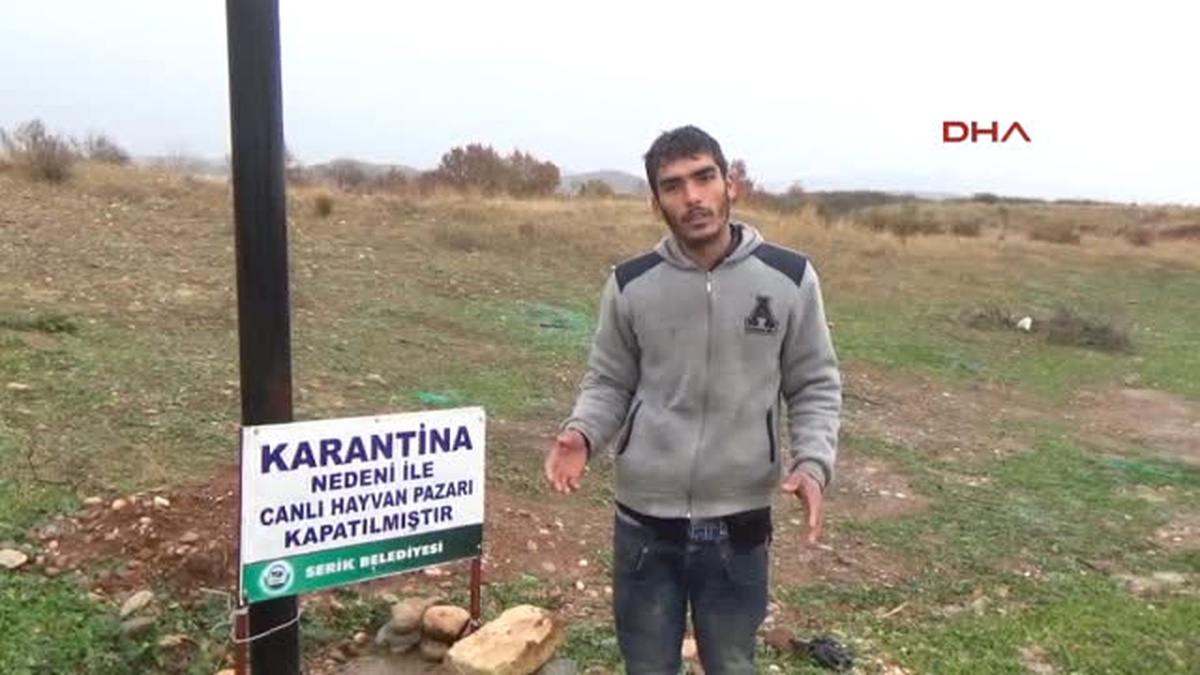 Serik Hayvan Pazarı Karantinaya Alındı