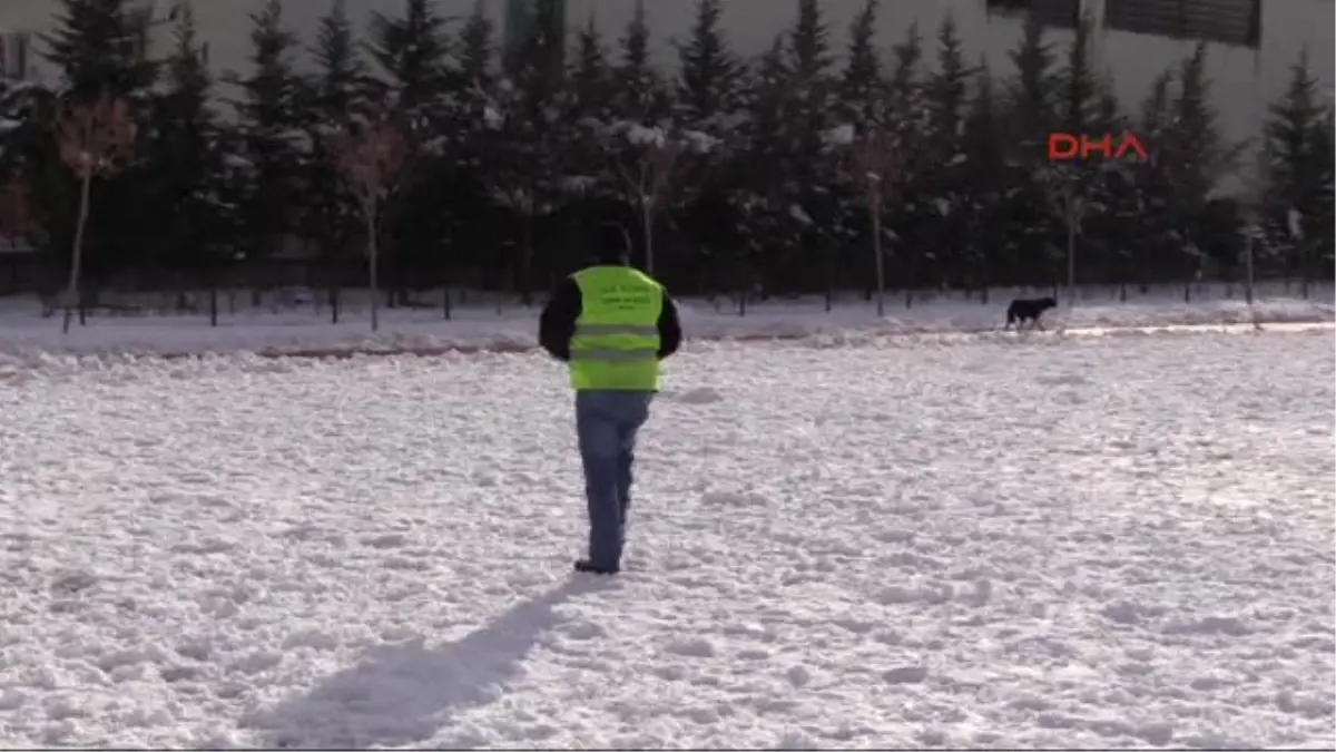 Uşak\'ta Karda Aç Kalan Sokak Hayvanlarına Yiyecek