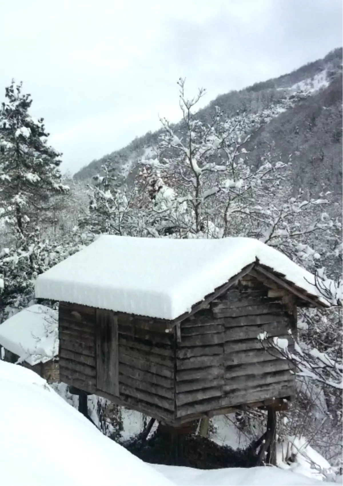 Yılbaşı Dağevi Konaklamalı Trekking Turu