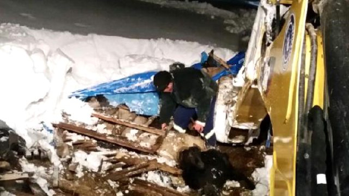 Bursa\'da Ahır Çöktü, 50 Hayvan Telef Oldu