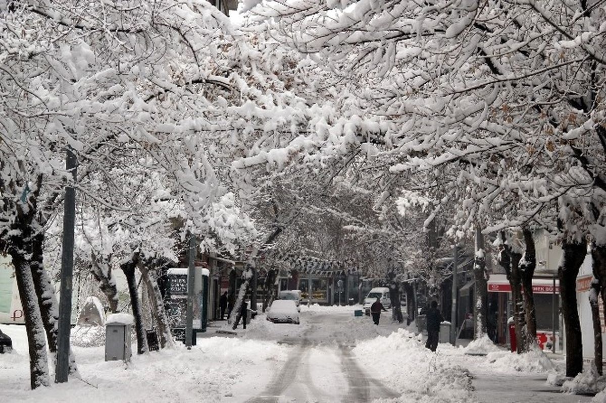 Nevşehir\'de Yoğun Kar Ağaçların Dallarını Kırdı
