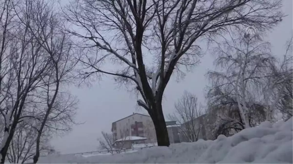 Ağaçta Mahsur Kalan Kedi Için Itfaiye Ekipleri Seferber Oldu