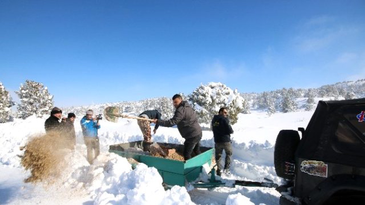 Beyşehir\'de Yaban Hayatına Yiyecek Desteği