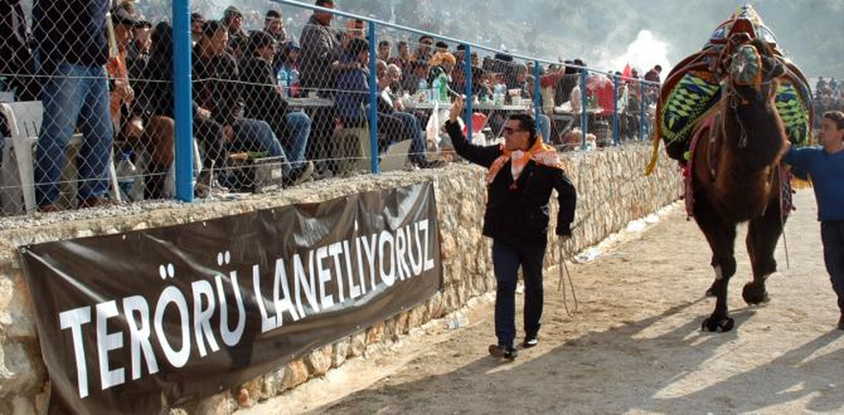 Deve Güreşi Festivalinde Teröre Tepki