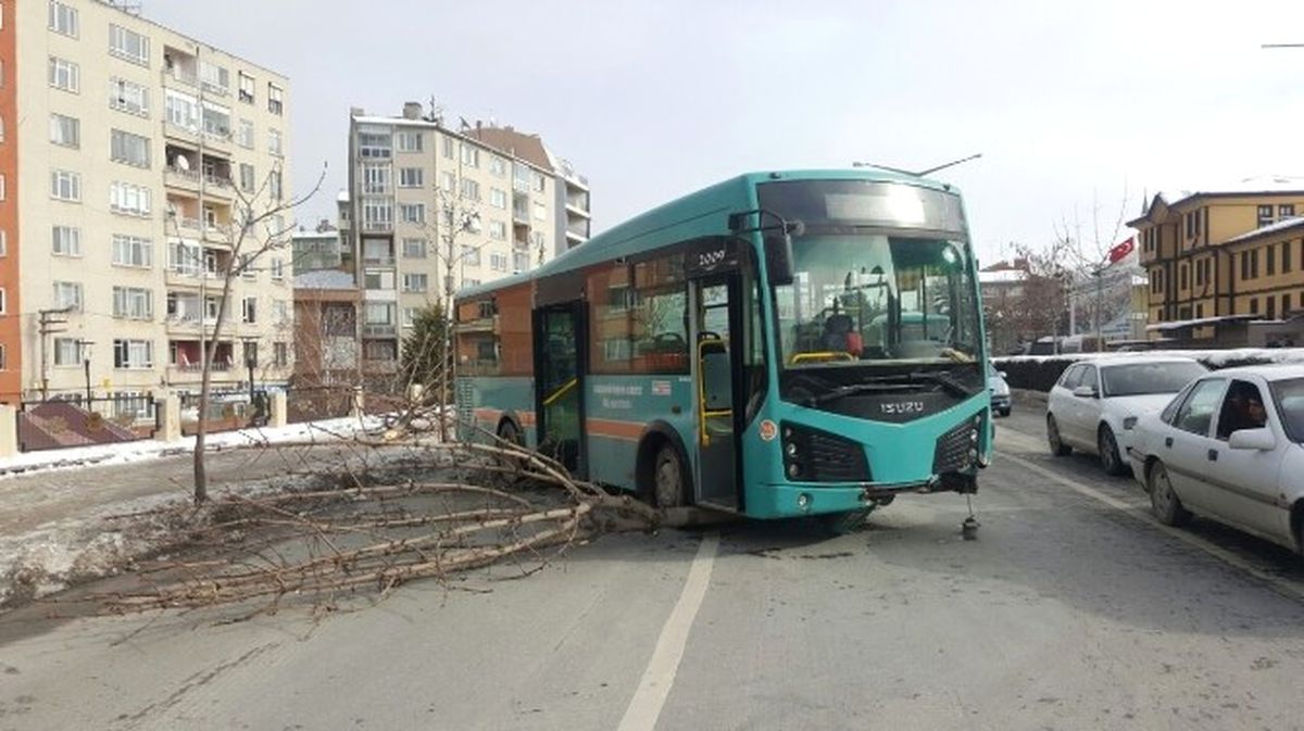 Eskişehir\'de Yoldan Çıkan Otobüs Ağacı Sökerek Durabildi
