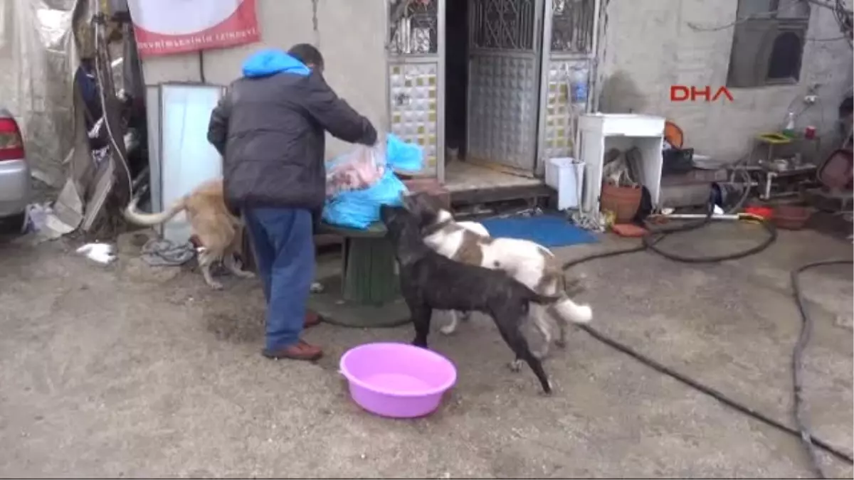 Savcı Kaya, Hayatını Kurtaran Can Dostlarına Sahip Çıkıyor