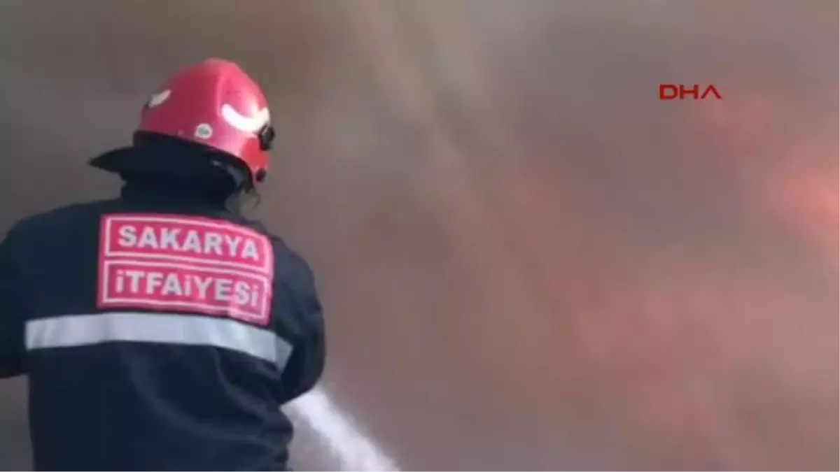 Bodrum Güneşi Görünce Bodrum Tatilini Uzattılar