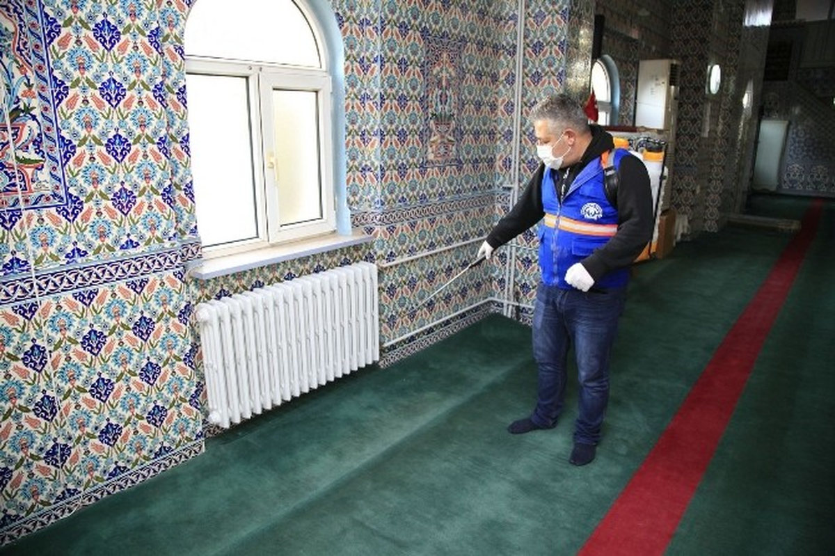 Camilerde İlaçlama Çalışmaları