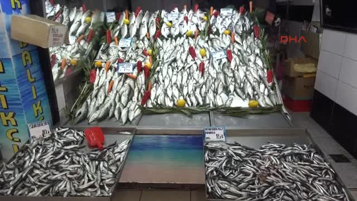 Çanakkale Soğuk Havayla Balık Tezgahlarındaki Çeşit Azaldı