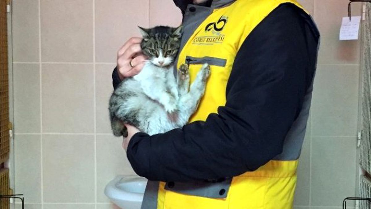 Çorlu\'da Donmak Üzere Olan Kedi ve Karga Kurtarıldı