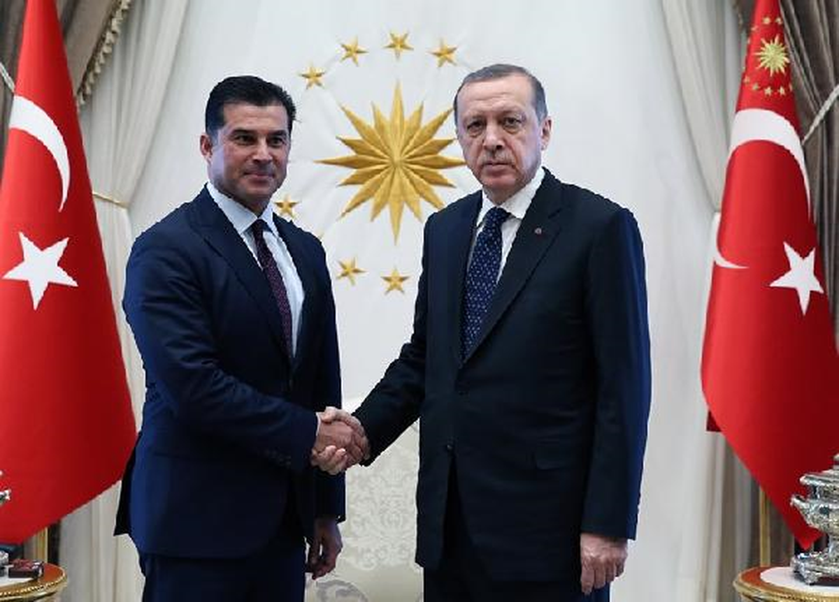 Cumhurbaşkanı Erdoğan, KKTC Başbakanı Özgürgün\'ü Kabul Etti
