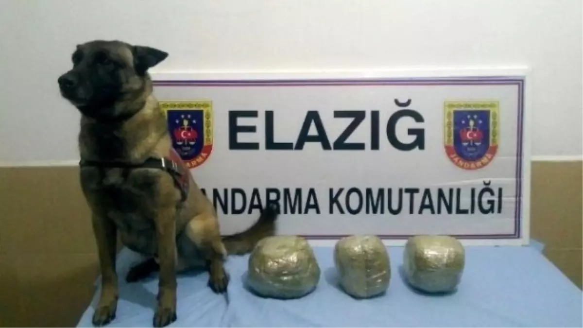 Elazığ\'da Trende 3 Kilogram Esrar Ele Geçirildi