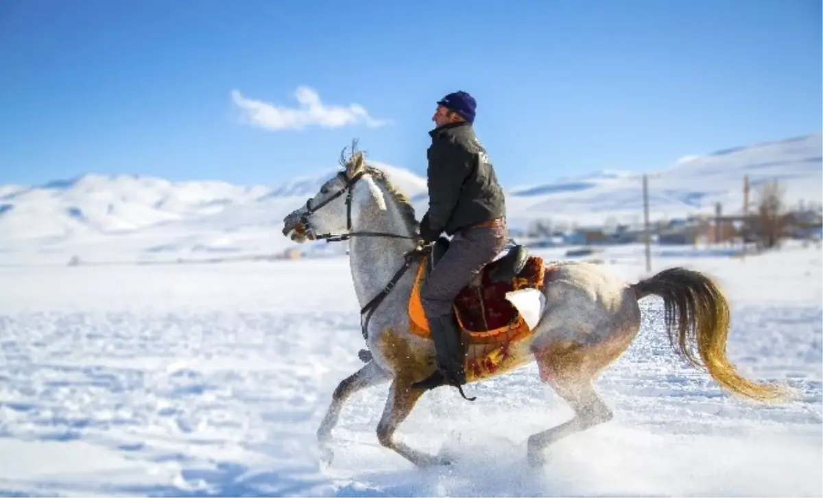 Erzurum\'da Kar Üzerinde Cirit