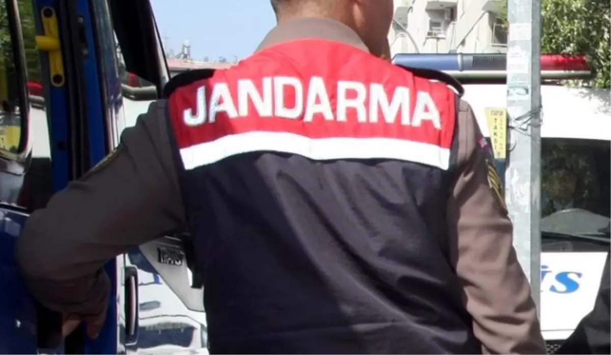 Jandarma, 60 Meşe Ağacını Kesenleri Arıyor