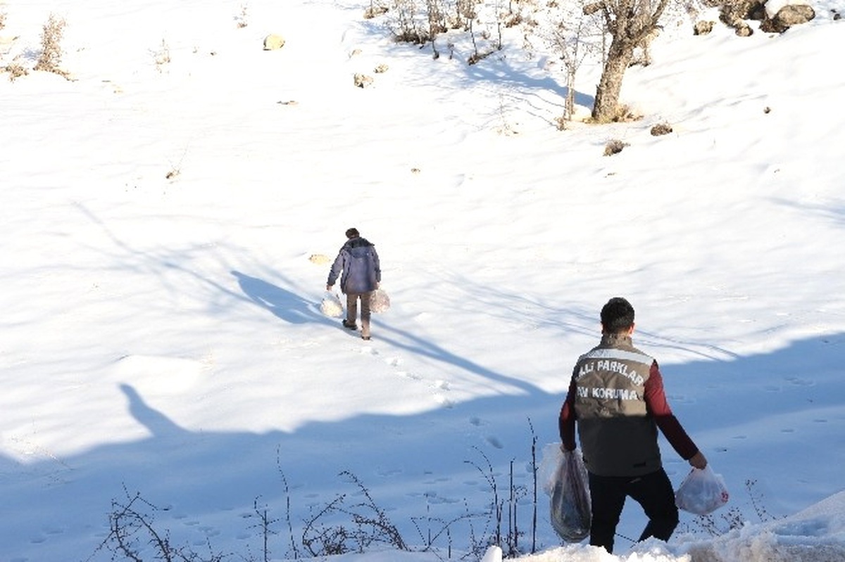 Şırnak\'ta Yaban Hayvanları İçin Doğaya Yem Bırakıldı