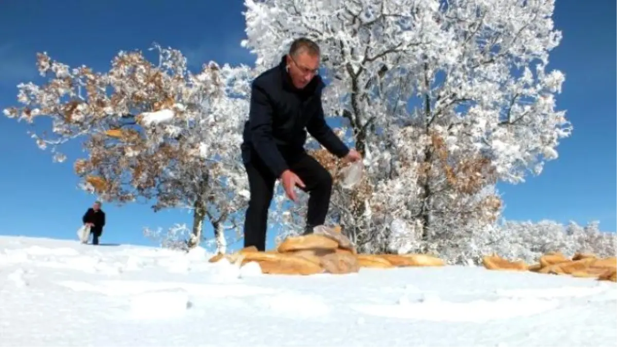 Yozgat\'ta Yaban Hayvanları İçin Yemleme Çalışması