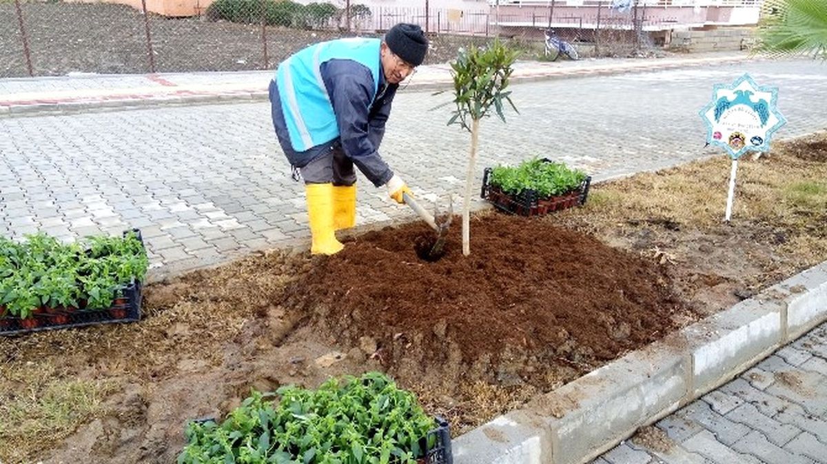 Alanya\'da Bitkilendirme Çalışmaları