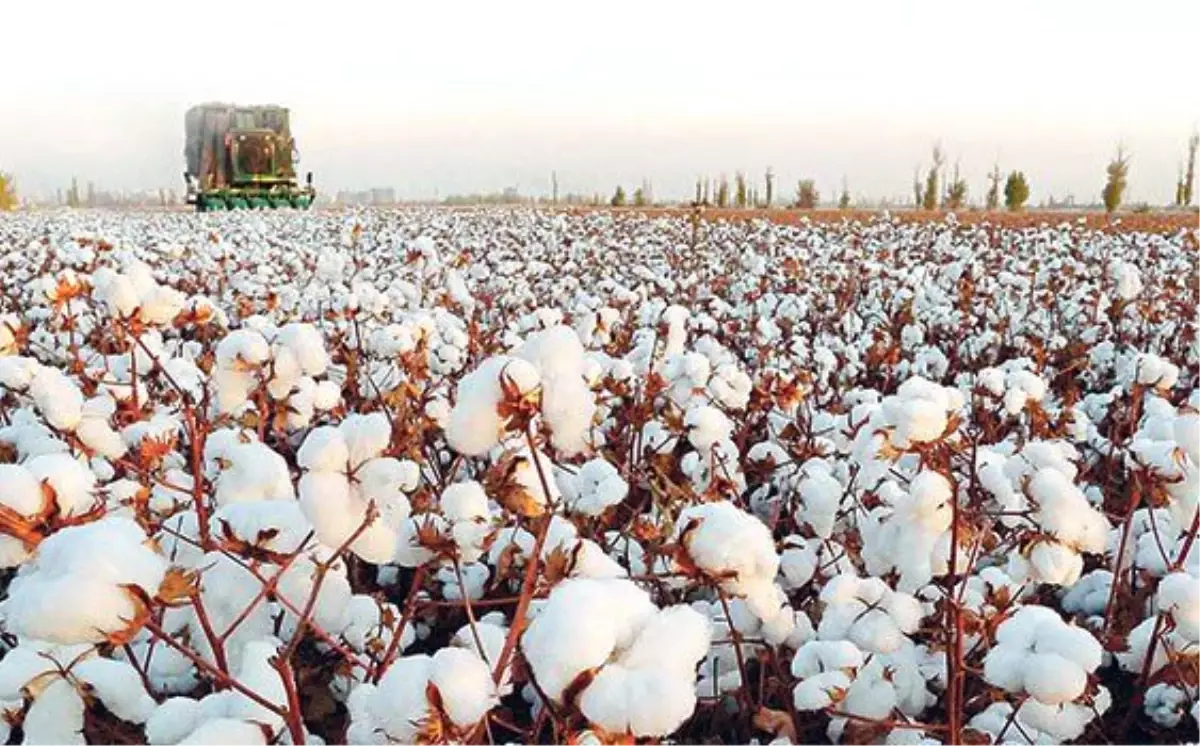 Denizli Ticaret Borsası