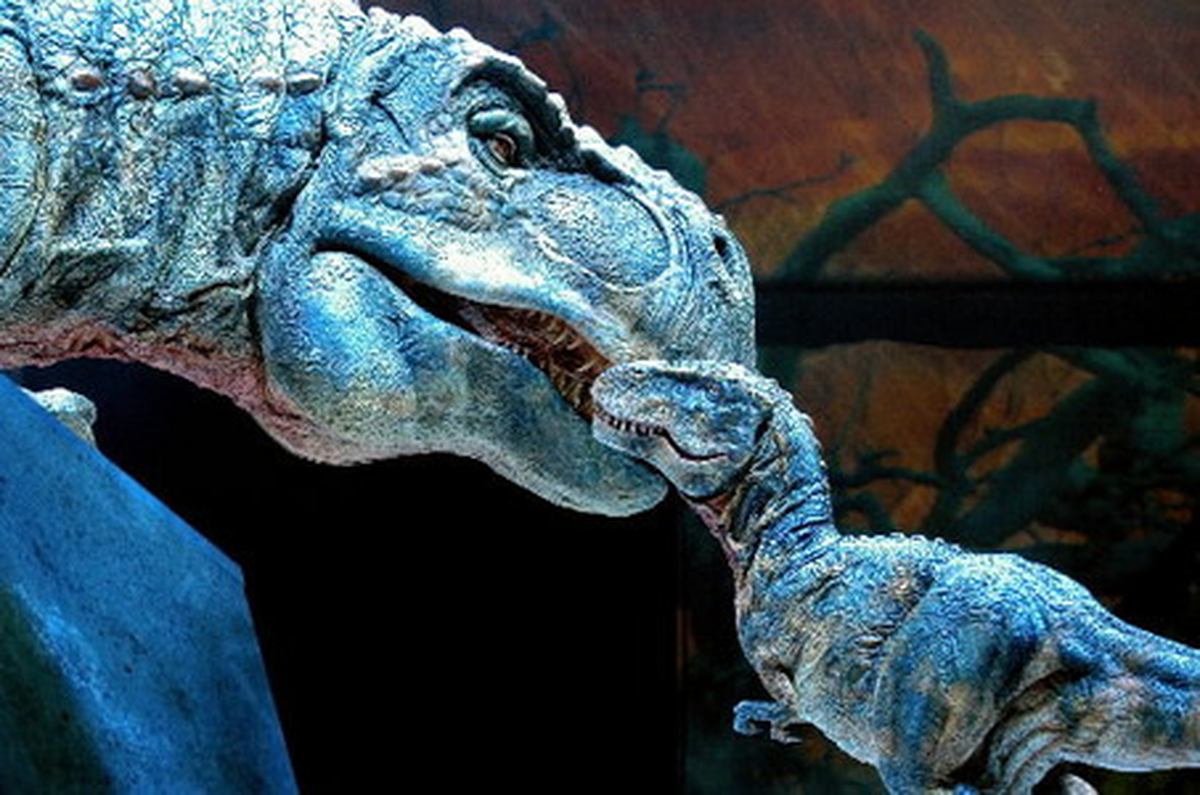 Dinozorların Yumurtadan 3 İla 6 Ayda Çıktığı Belirlendi