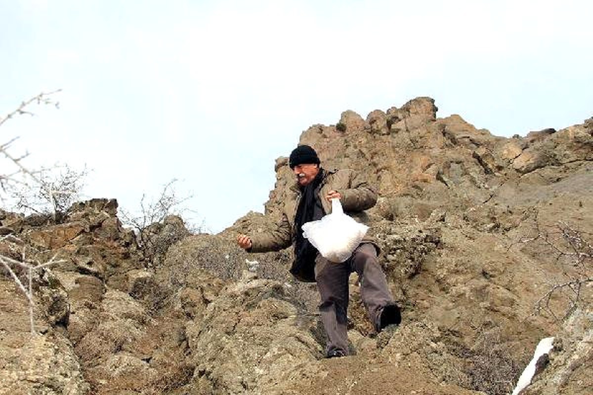 Ekip Hasat Ettikleri Arpayı Yaban Hayat İçin Serptiler