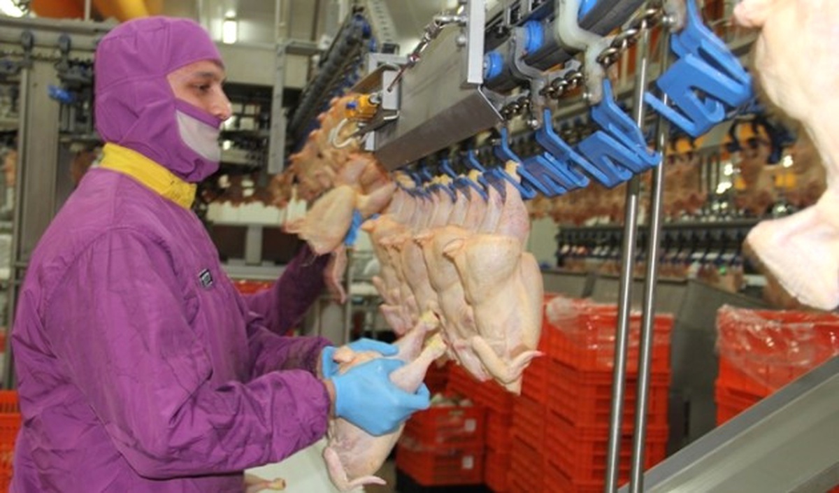 Hastavuk Şarküteriye Ağırlık Verecek, Yüzde 15 Büyüyecek