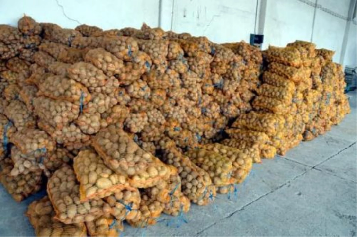 Lise Öğrencilerinden Halepliler İçin 25 Ton Patates