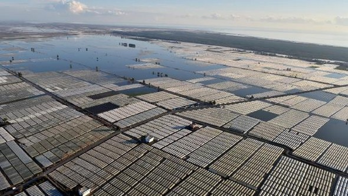 Mersin\'de Sel Felaketi 55 Bin Dekar Sera Alanını Vurdu