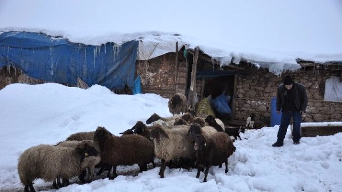 Doğu\'da Besicilerin Kış Çilesi