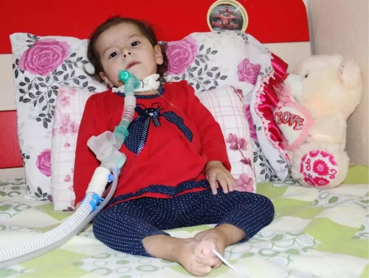 Sma Hastası Minik Zeynep\'in Ailesi Yardım Bekliyor