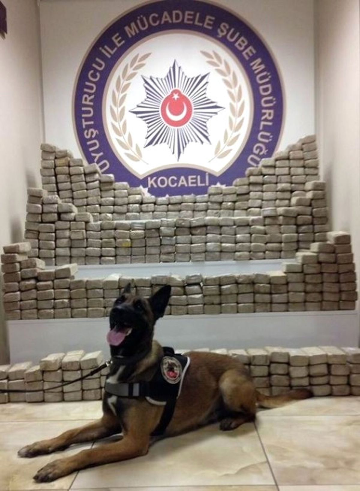 2016 Yılında 1 Ton, 252 Kilo Eroin Yakalandı