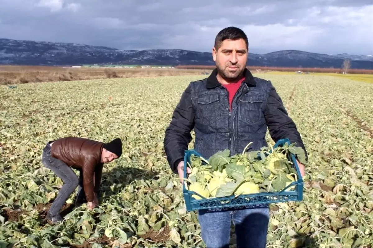 Alabaş" Vitamin Deposu