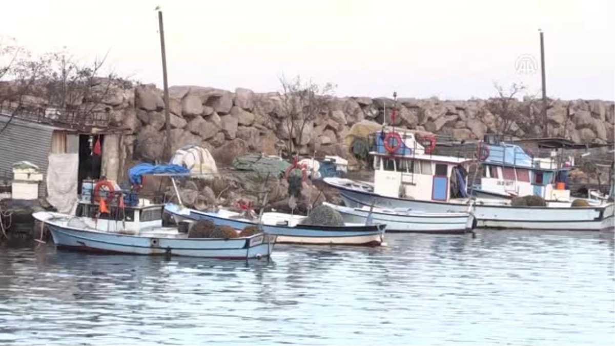 Balıkçılar Yeni Yılda Hamsiden Umutsuz
