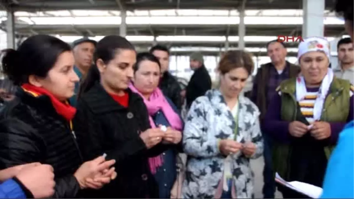 Bodrum\'da 7 Genç Besiciye 6\'şar Sığır Desteği