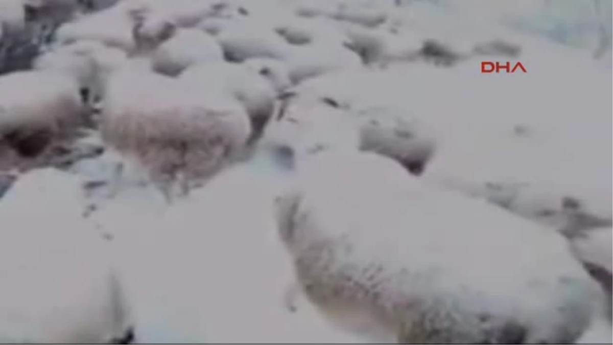 Bir haftadır yaylada mahsur kalan çoban kurtarıldı