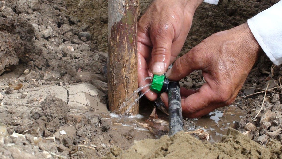 Çiftçilere Damlama Sulama Şartı Getirildi