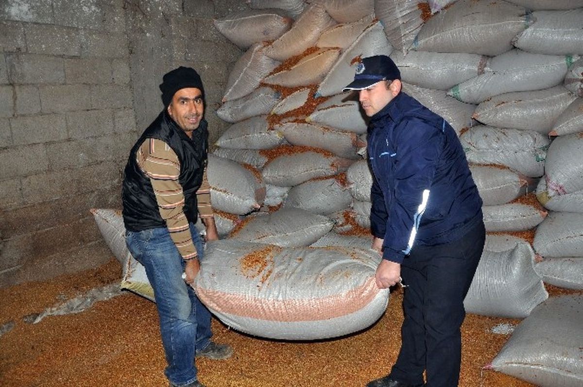 Merdiven Altı Pul Biber Yapımına Operasyon
