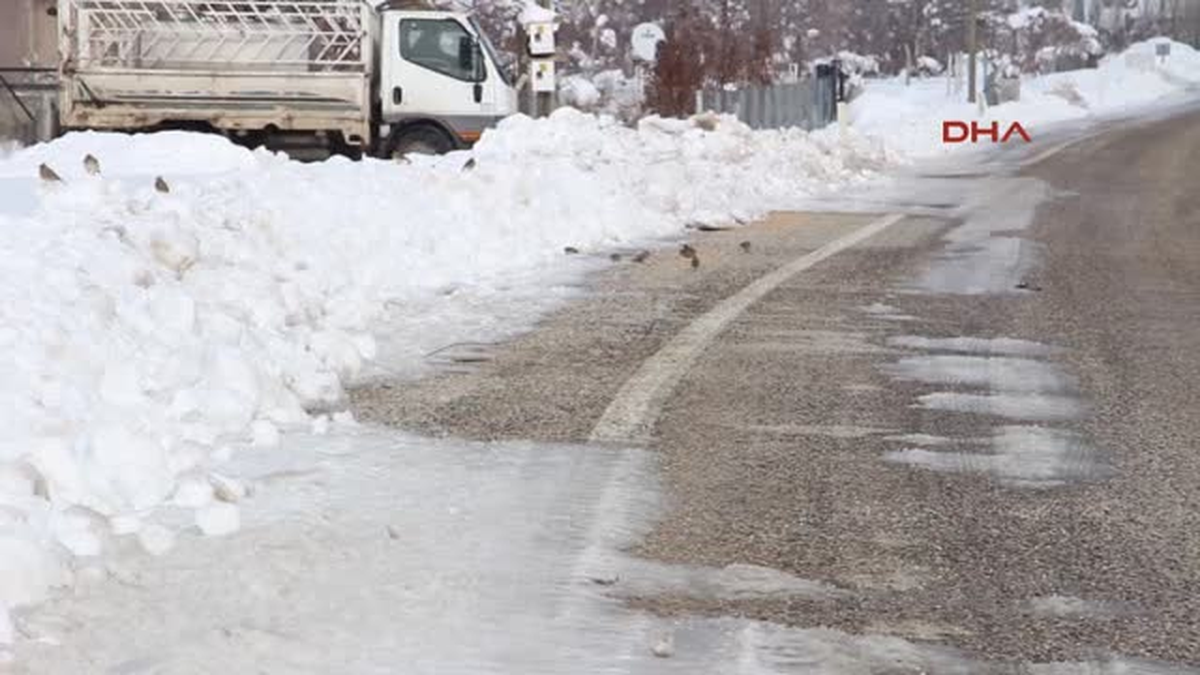 Isparta Aç Kalan Kuşlara Yem Bırakıldı