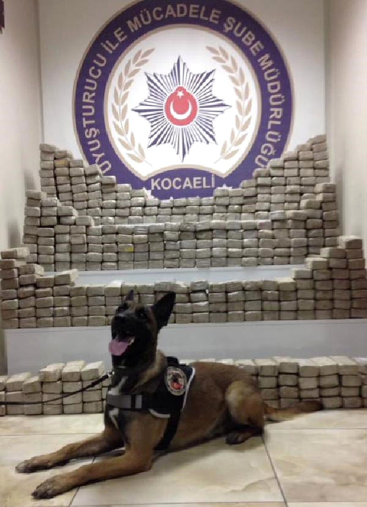 İzmit\'te 398 Kilo Esrar Ele Geçirildi
