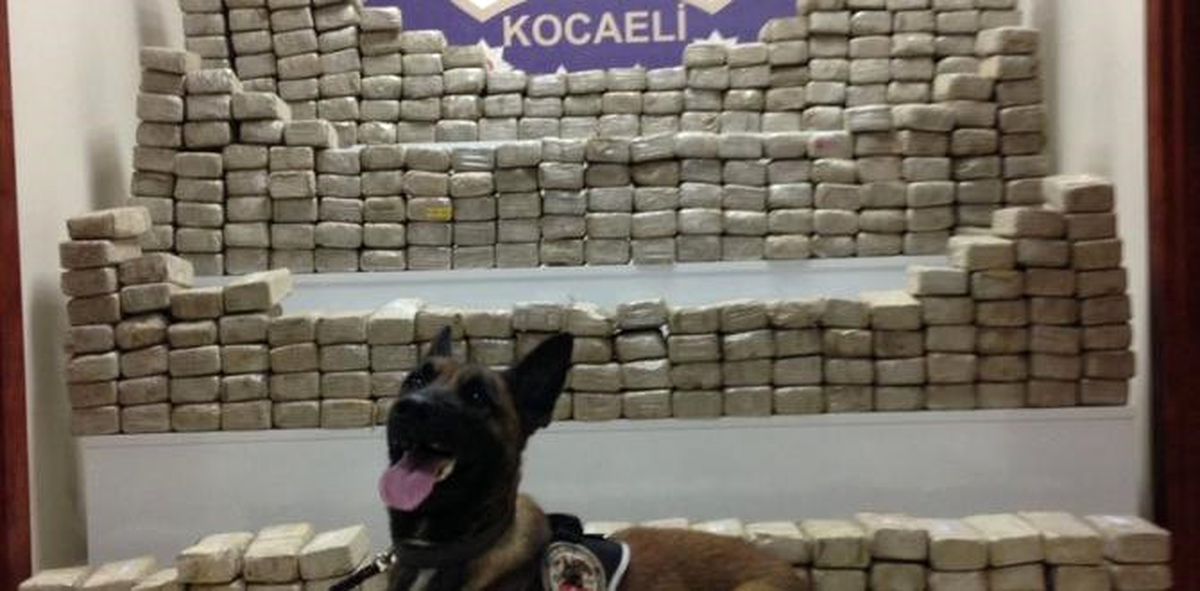 Kocaeli\'de 2016\'da 2 Ton Uyuşturucu Ele Geçirildi
