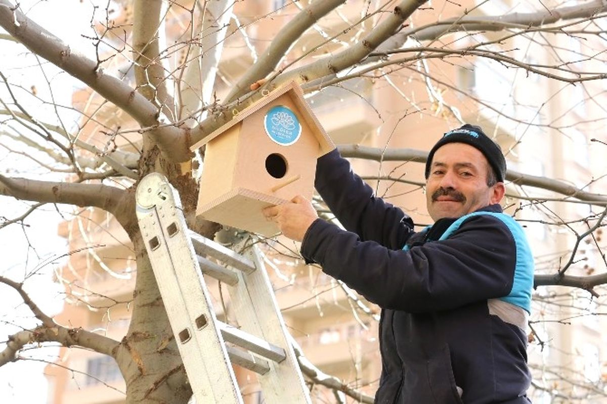 Kuşlara Soğuk Havada Sıcak Yuva